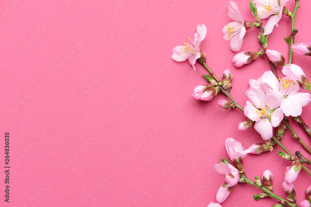 Beautiful blossoming branches on color background