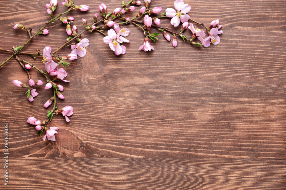 Beautiful blossoming branches on wooden background