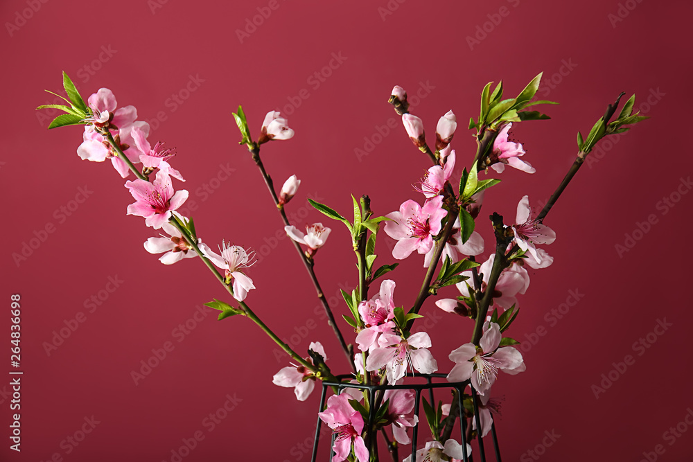 Beautiful blossoming branches on color background