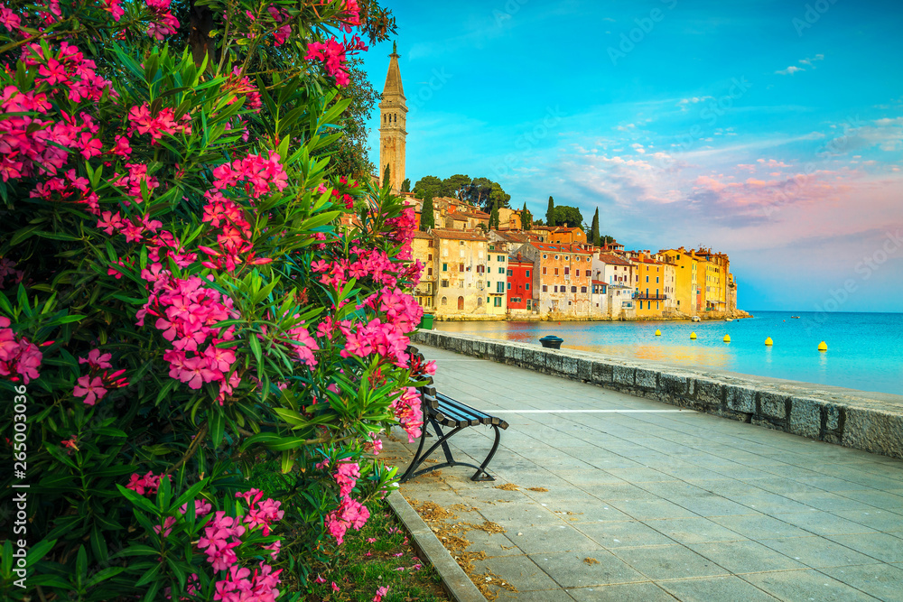 Sunrise and morning cityscape with flowery promenade, Rovinj, Istria, Croatia