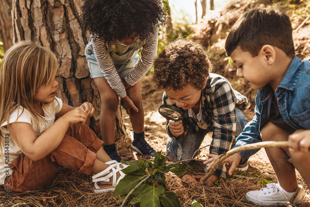 Kids exploring in forest with a magnifying glass