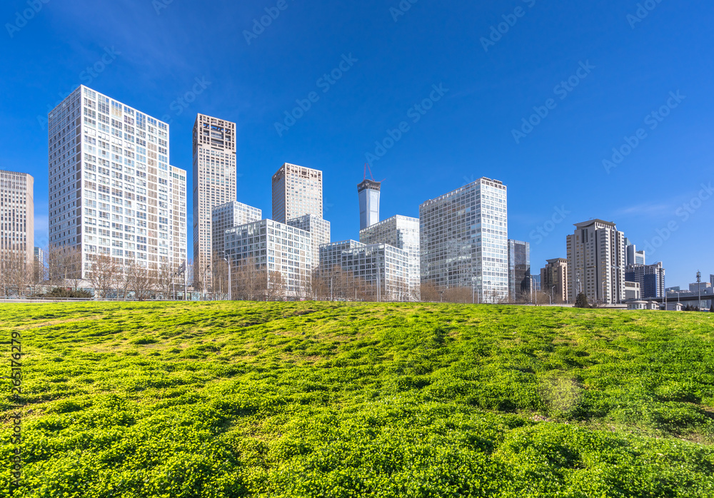 绿色草坪的城市天际线