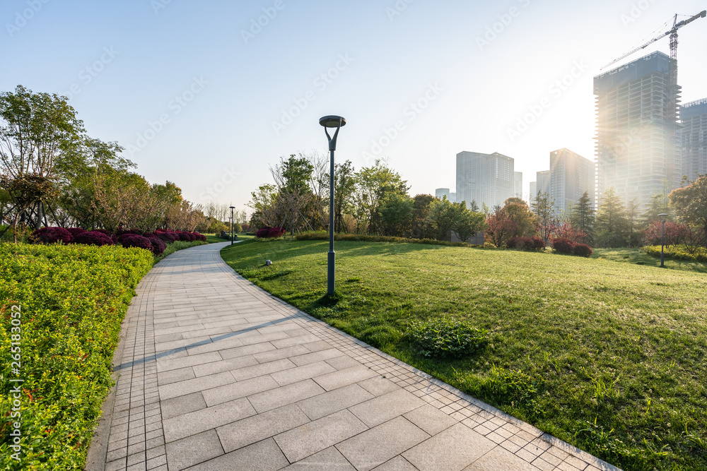 road in park