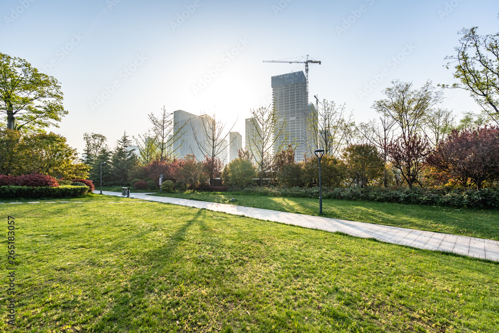 road in park