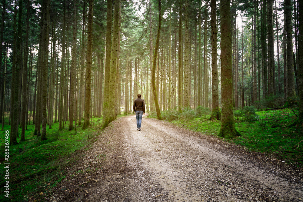 Man walks alone on forest road with mossy ground.