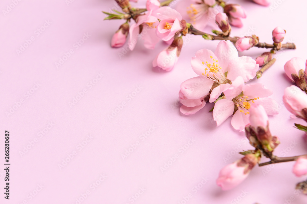 Beautiful blossoming branches on color background