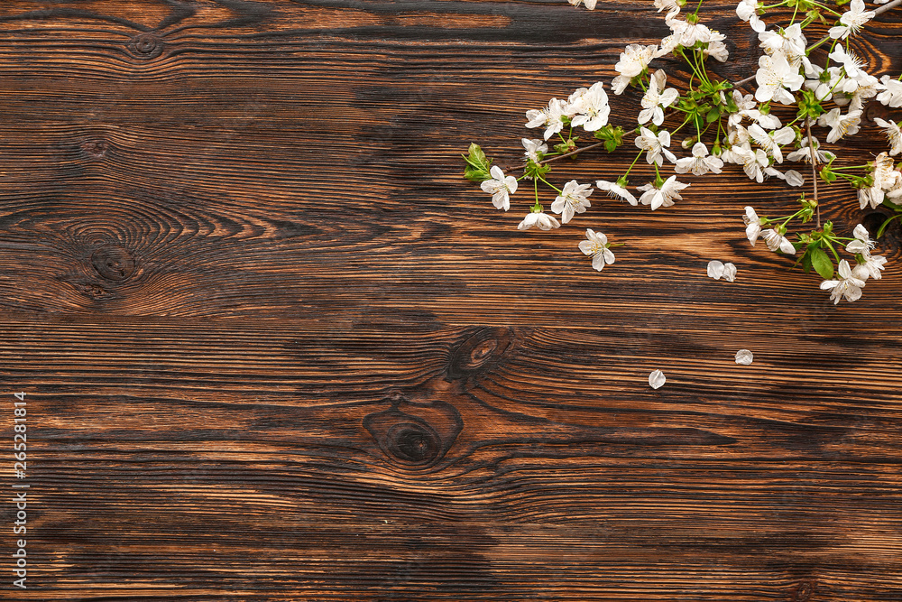 Beautiful blooming branches on wooden background