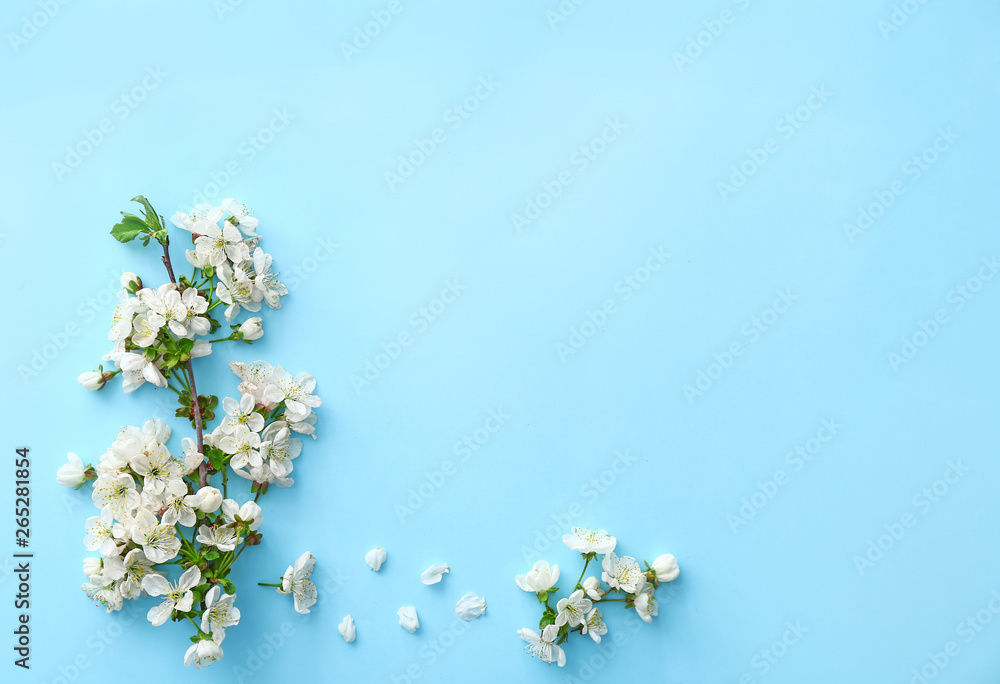 Beautiful blooming branches on color background