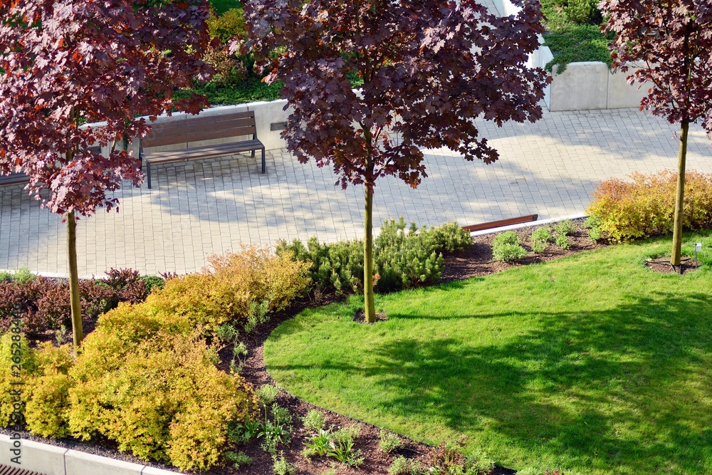 Ornamental shrubs and plants near a residential city house