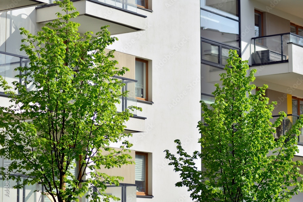 Ornamental shrubs and plants near a residential city house