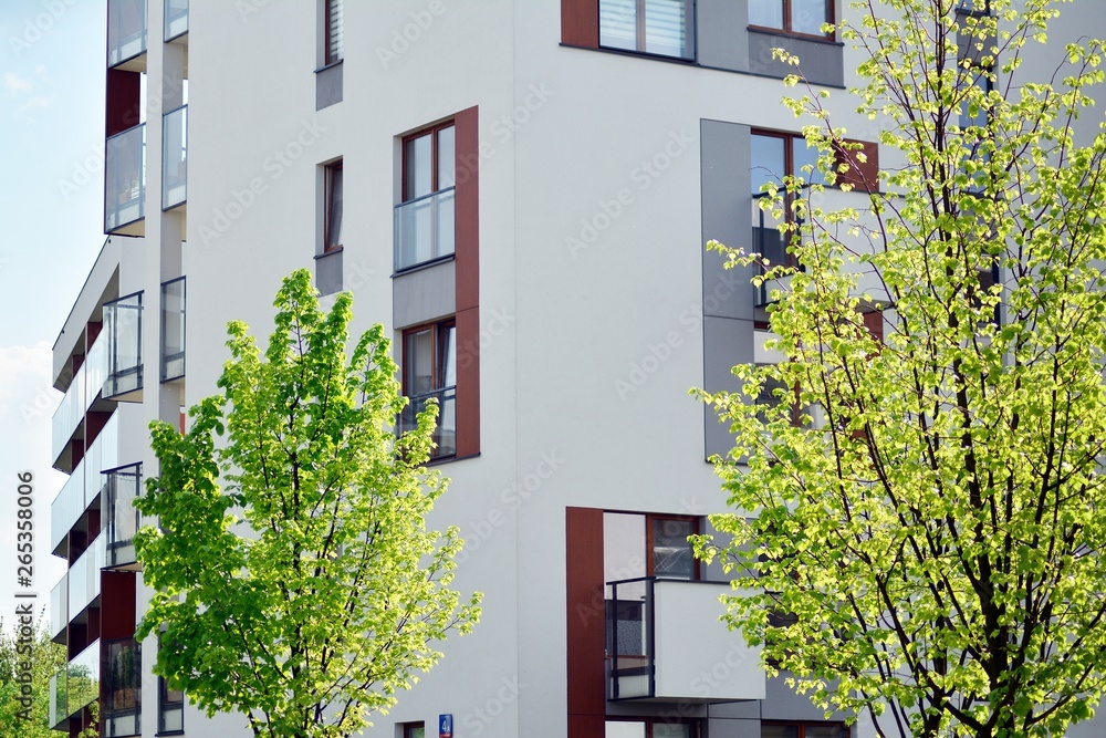 Ornamental shrubs and plants near a residential city house