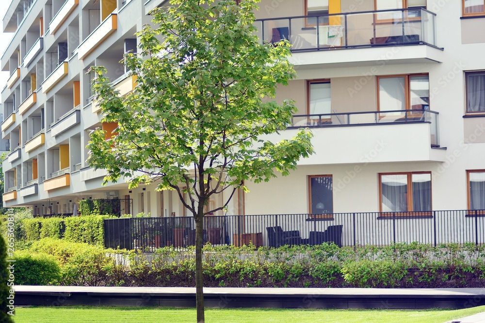 Ornamental shrubs and plants near a residential city house