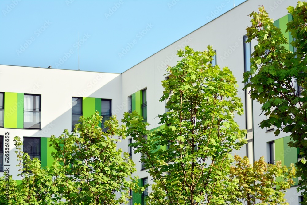 Ornamental shrubs and plants near a residential city house