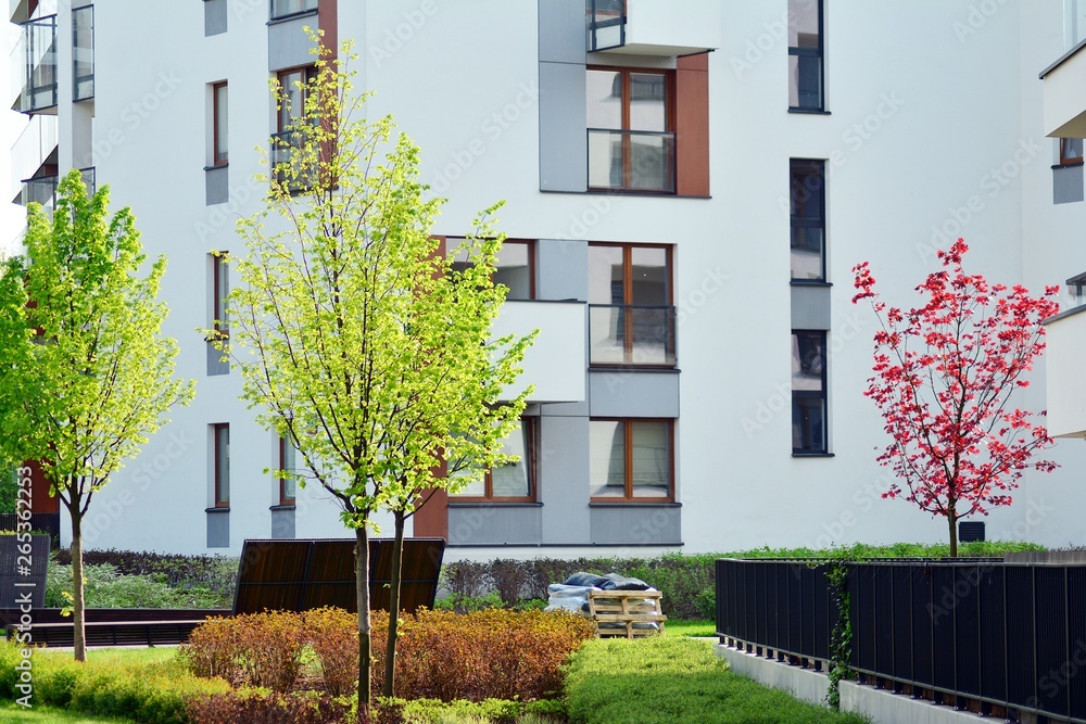 Ornamental shrubs and plants near a residential city house