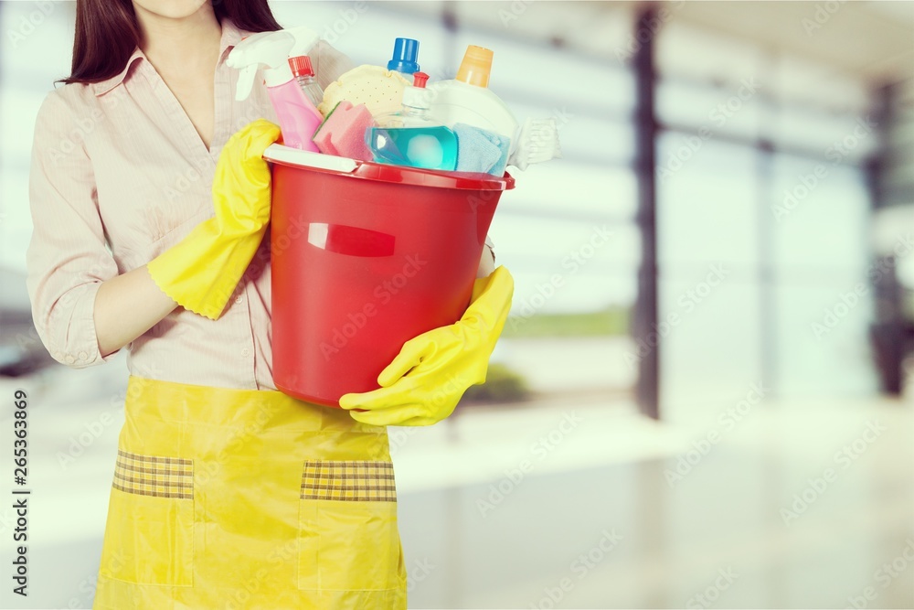 Beautiful Young Woman Housewife with Cleaning products