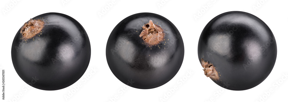 Black currants isolated Clipping Path