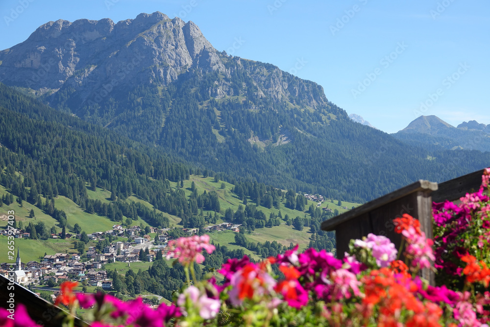 特写：五颜六色的花朵挡住了乡村的视线。