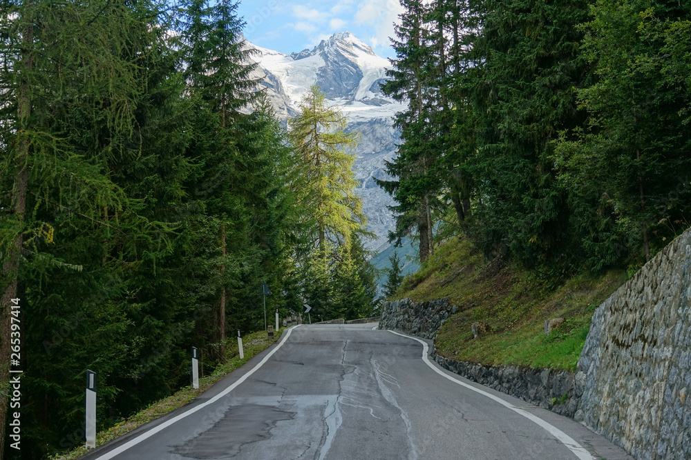 Bumpy concrete road crosses the quiet green forest with a view of the mountains.