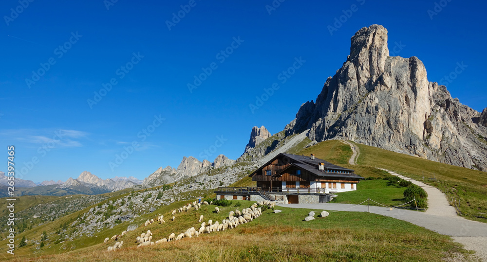 A flock of sheep graze on the steep hill below the rustic house in the mountains