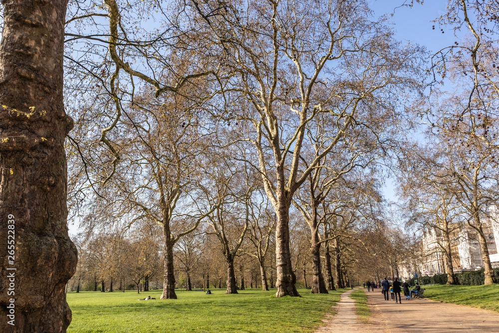 Hyde Park in London, England