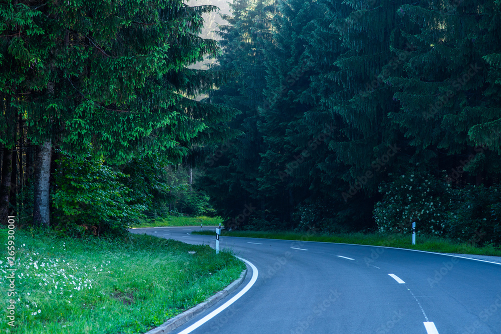 Curvy road with ancient trees beside in Black Forest, Germany.