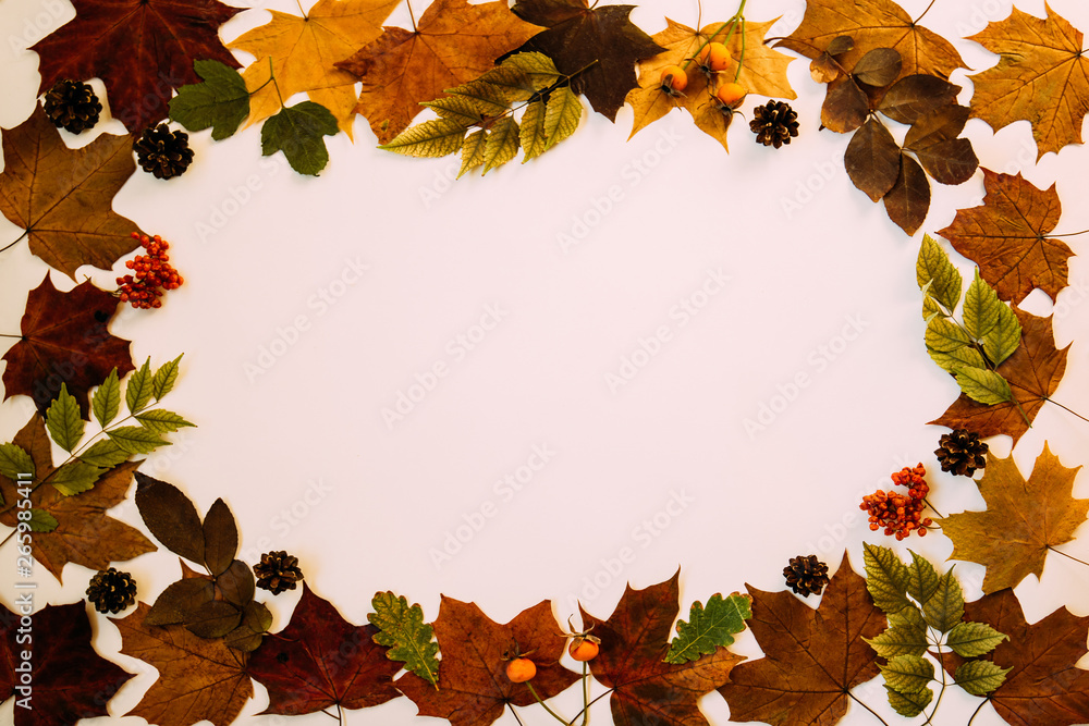 Frame made of autumn leaves, acorn, pine cones on pastel background. Autumn, fall concept. Flat lay,