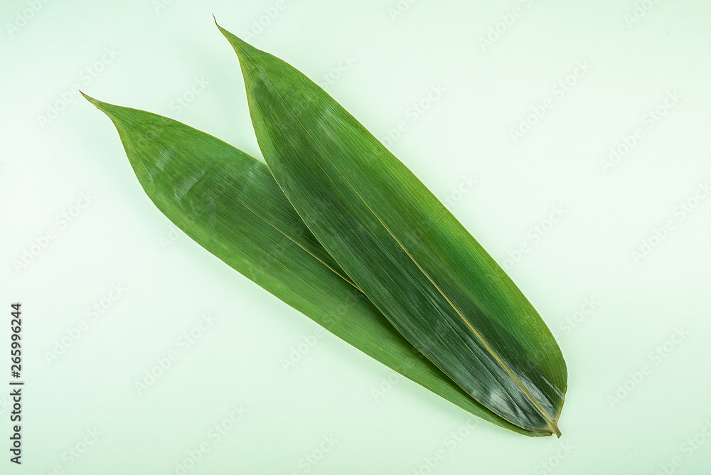 Green hazel leaves background material