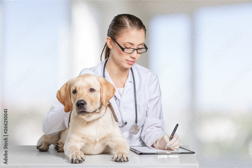 Beautiful young veterinarian with a dog