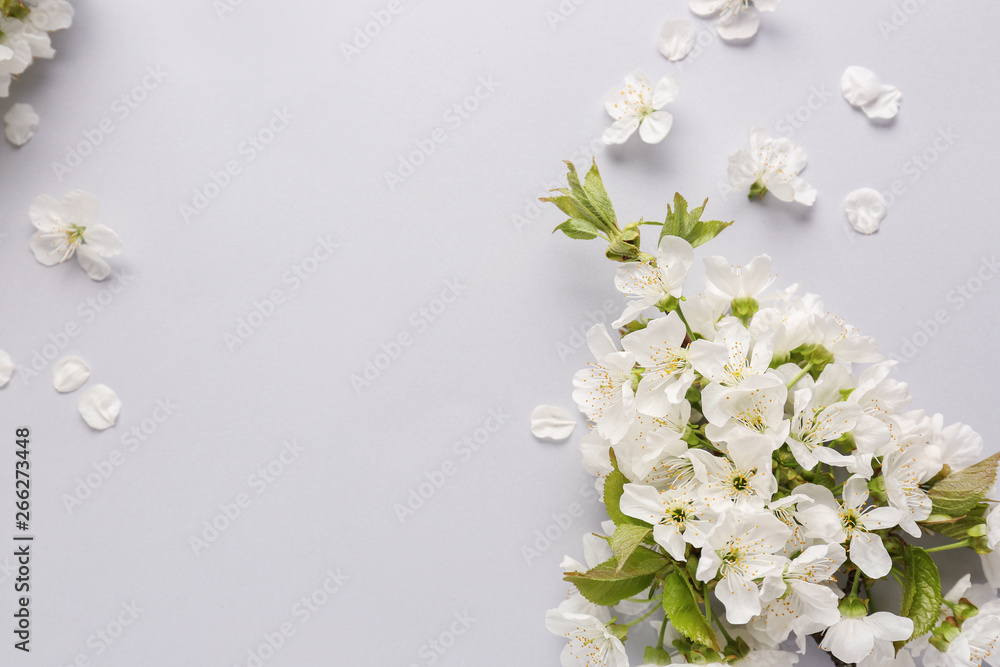 Beautiful blossoming branch on white background