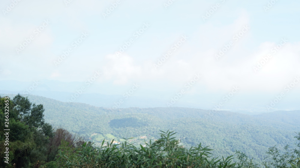 landscape with trees and clouds