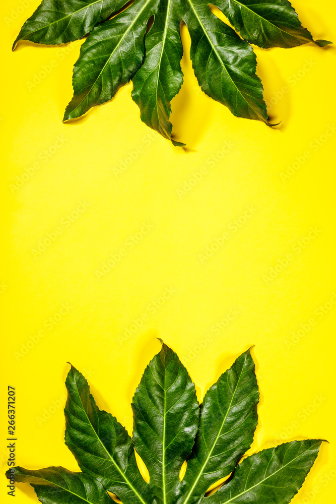 Tropical leaves on yellow background