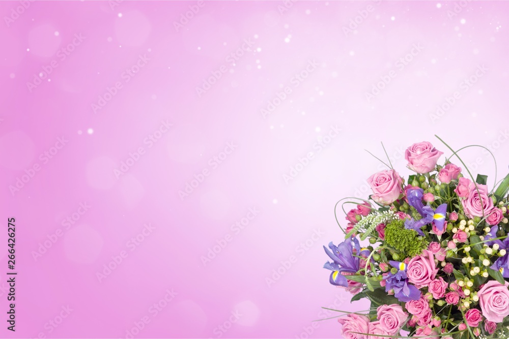 Beautiful pink roses on background