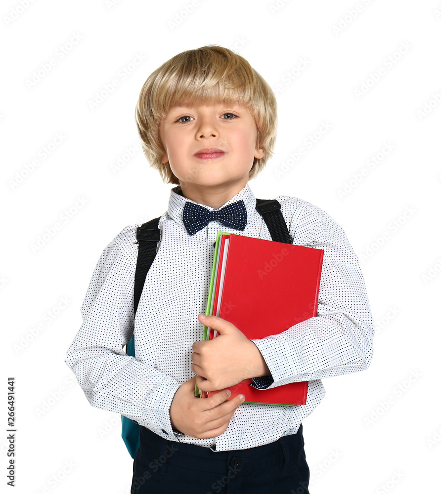 Cute little schoolboy on white background