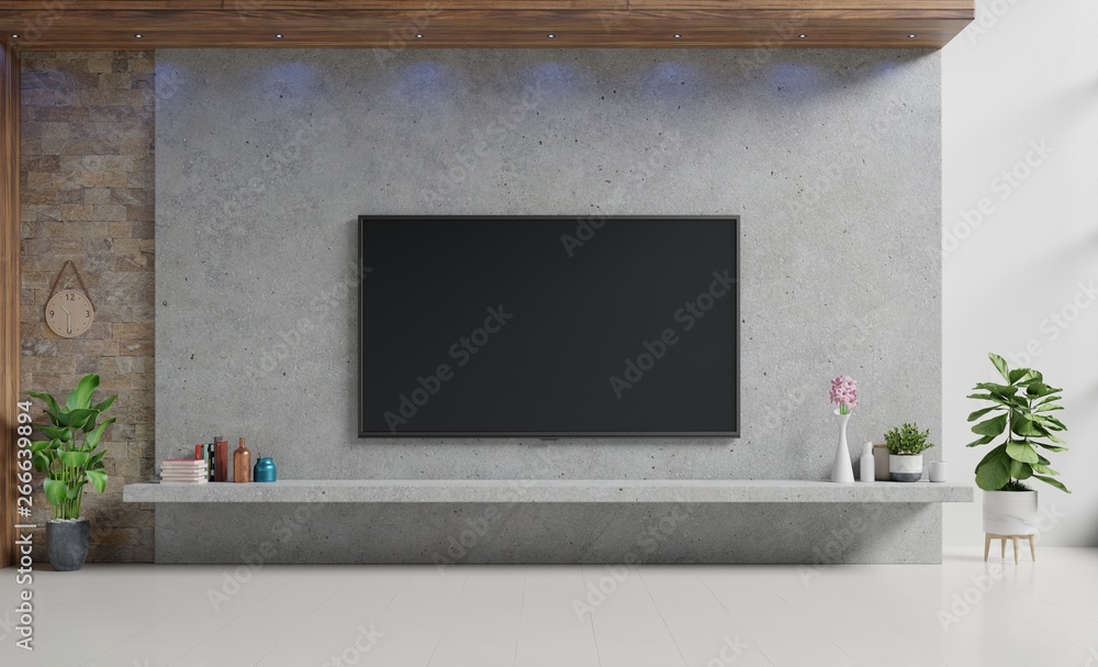 TV on cement stan in modern living room with lamp,table,flower and plant on cement wall background,3