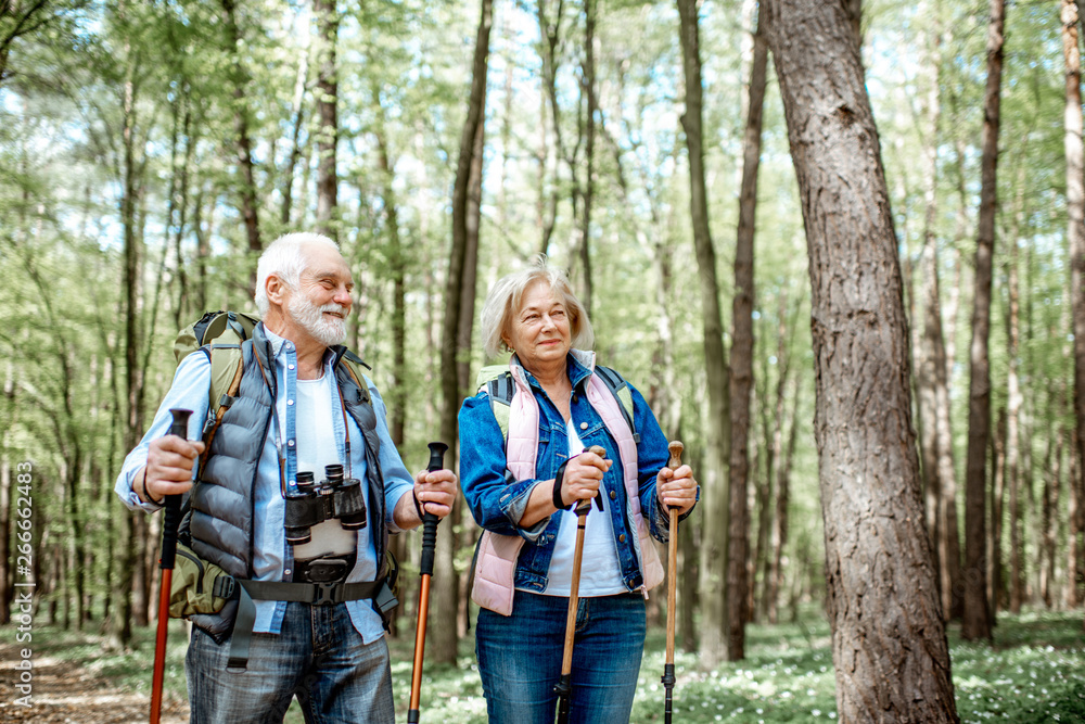 Beautiful senior couple hiking with backpacks and trekking sticks in the forest. Concept of active l