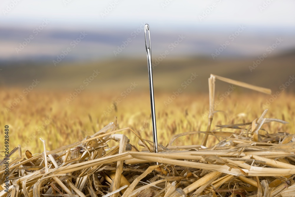 Needle in a haystack.