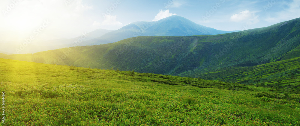 夏日山景