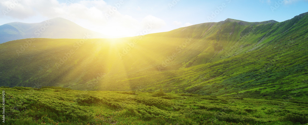 夏日山景