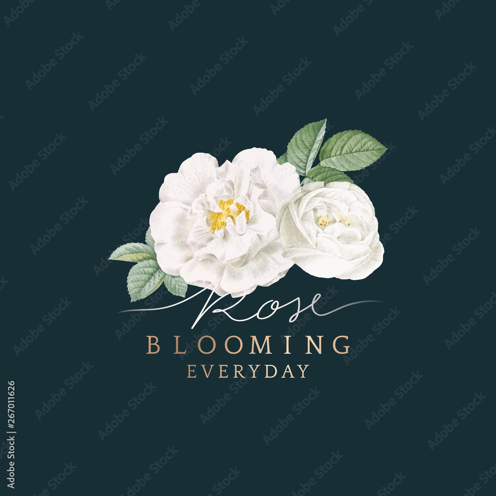 White rose blooming card design