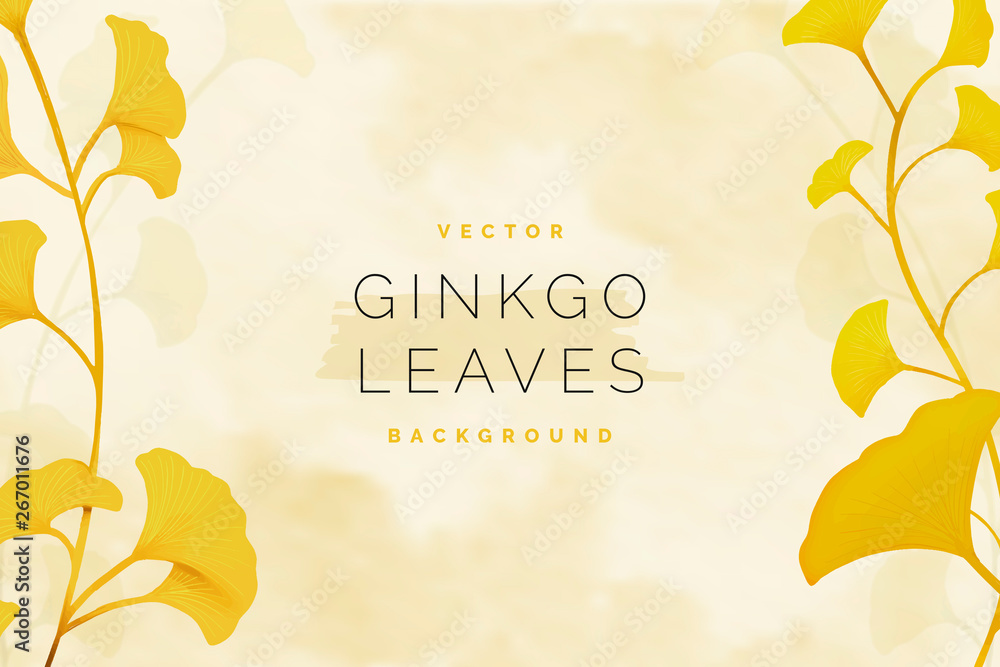 Gingko leaf background