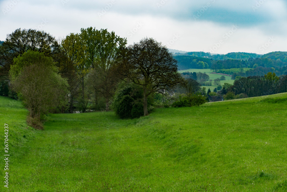 Blick auf Wiese