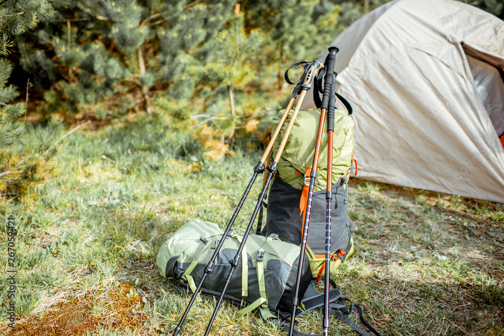 Campsite with tent, backpacks and trekking sticks in the forest