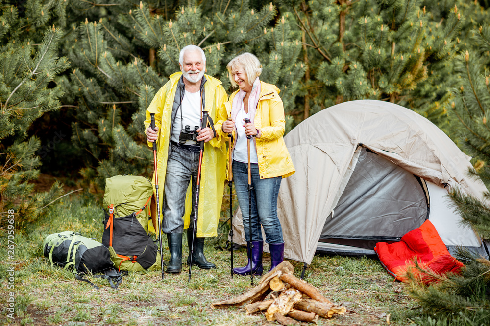 Senior couple in yellow raincoats at the campsite with tent and fireplace in the young pine forest