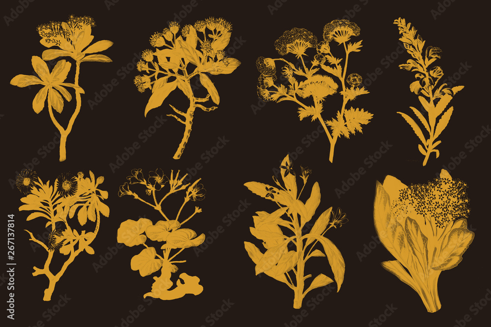 set of floral elements