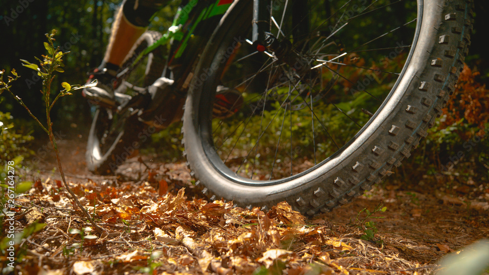 CLOSE UP: Unrecognizable man riding an electric bike through the dry leaves.