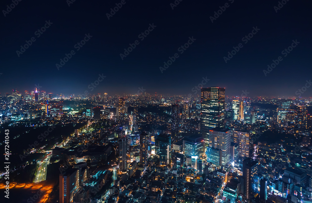 夜晚从六本木山俯瞰日本东京