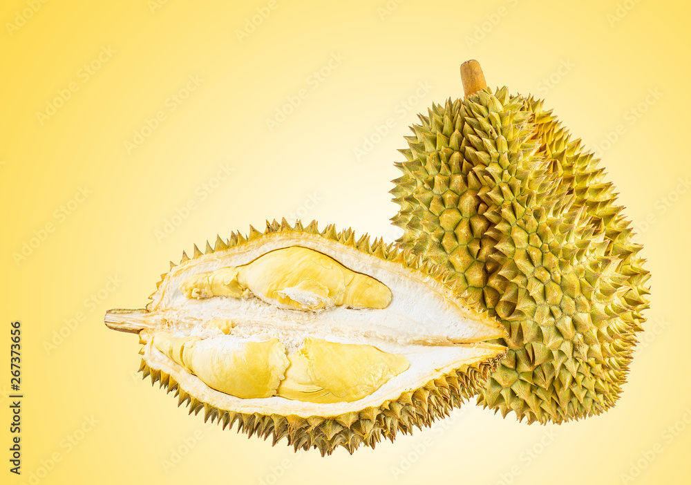 Fresh fruit durian promotional poster design background material