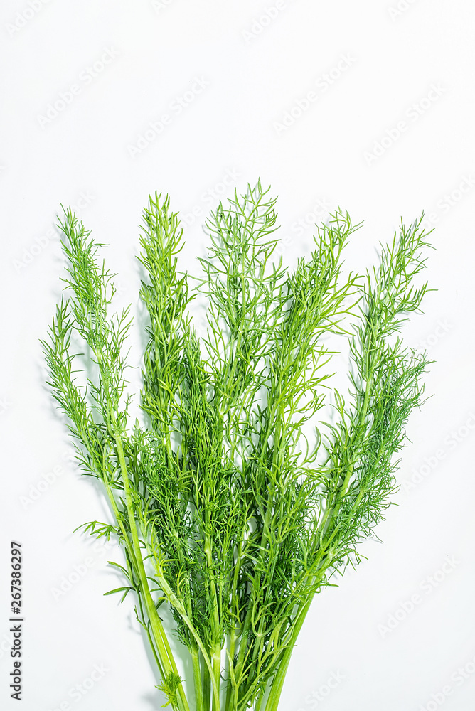 Fresh vegetable fennel leaf poster background material on white background