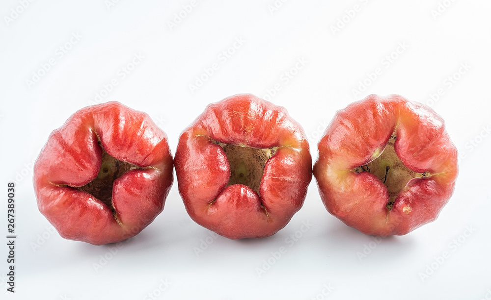 Tropical fruit red lotus on white background