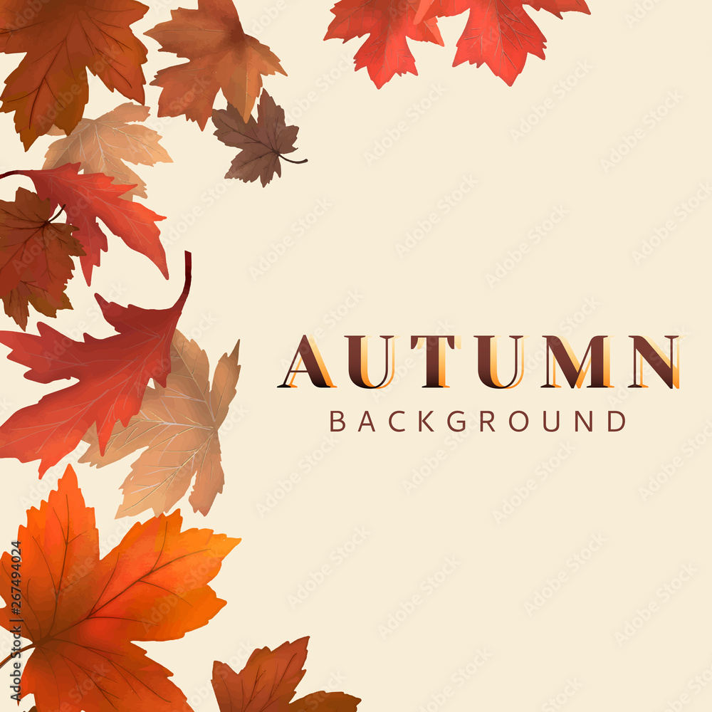 Autumn leaves background